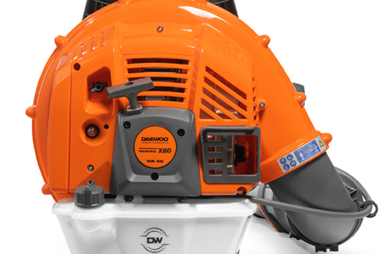 Профессиональный бензиновый двигатель DAEWOO